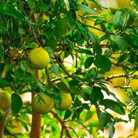 Vakantiehuis Jouvacations Noguera